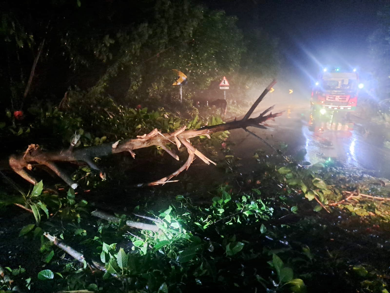 রাজবাড়ী-কুষ্টিয়া আঞ্চলিক মহাসড়কে গাছ ফেলে যানবাহনে ডাকাতি