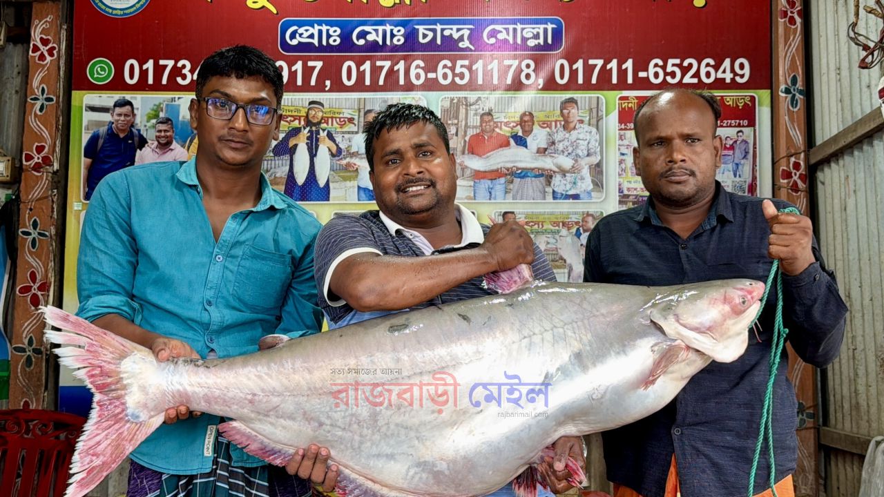  এবার পদ্মা নদীর এক পাঙাশ মাছ বিক্রি হলো ৭১ হাজার টাকায়