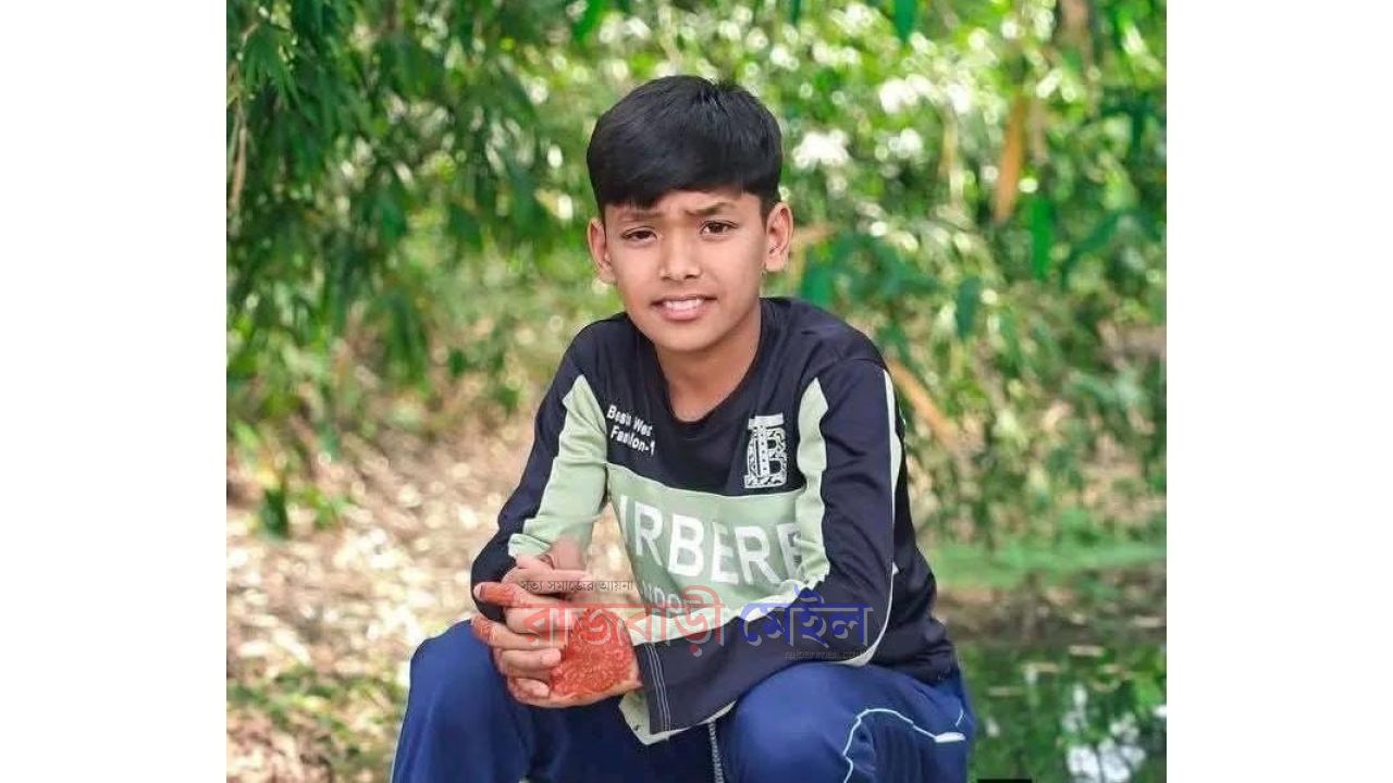 রাজবাড়ীতে আম পাড়তে গিয়ে প্রাণ হারাল শিশু আশরাফুল