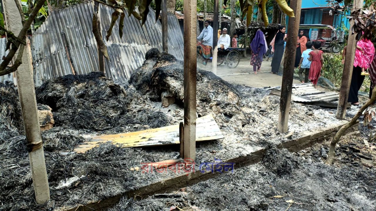 পাংশায় আধিপত্য কেন্দ্র করে দুই গ্রামবাসীর মধ্যে সংঘর্ষে একজনের মৃত্যু, বাড়ি-ঘর ভাঙচুর ও অগ্নিসংযোগ