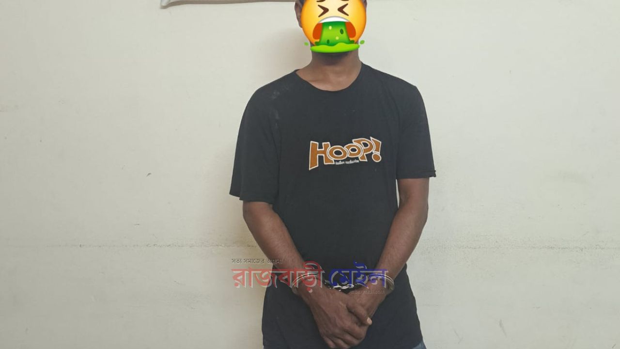 রাজবাড়ীতে ৮০০ পিস ইয়াবাবড়ি সহ মাদককারবারী গ্রেপ্তার