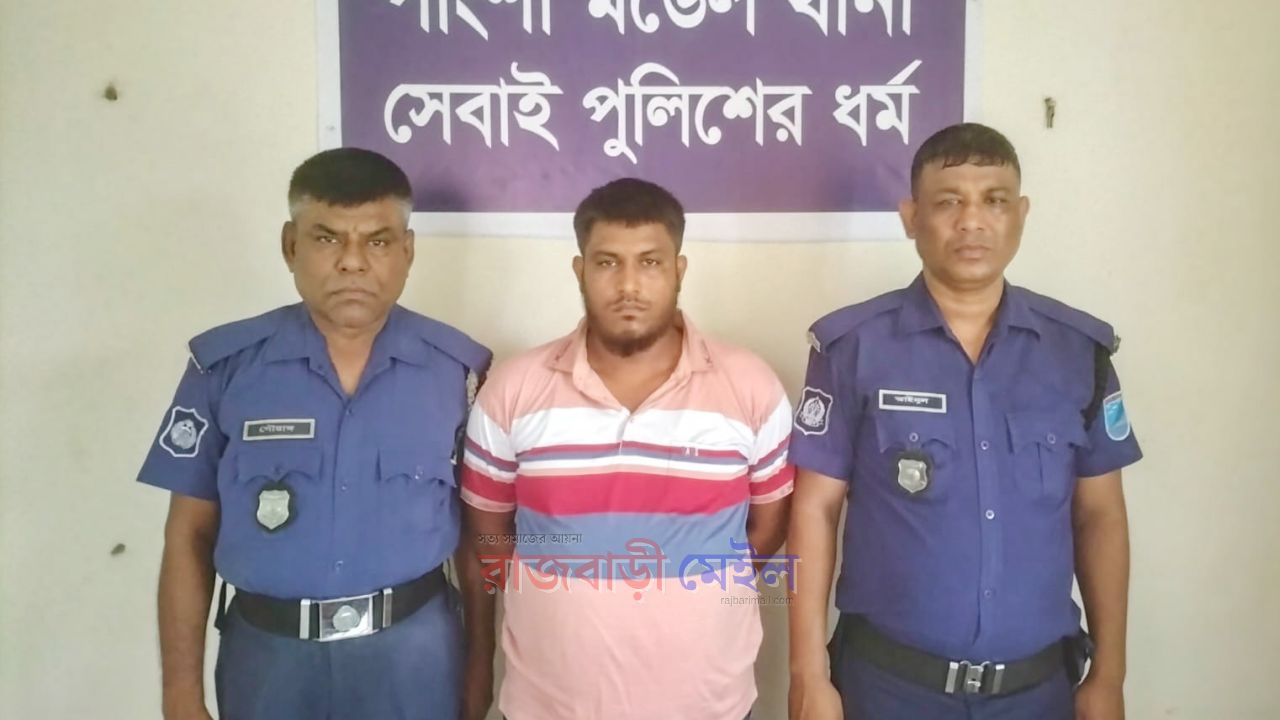 রাজবাড়ীর পাংশায় সাংবাদিককে মারধরের ঘটনায় গ্রেপ্তার ১