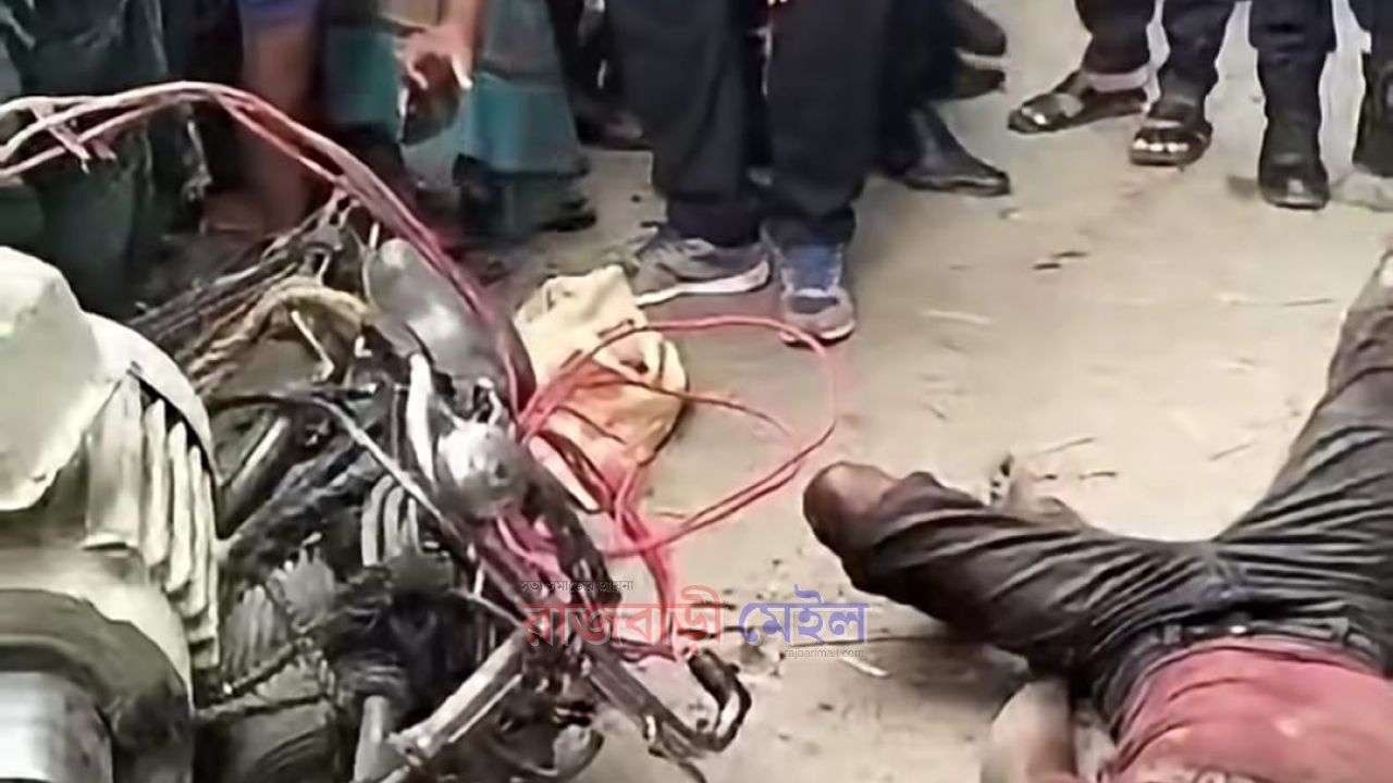 রাজবাড়ীর পাংশায় বৈদ্যুতিক মোটরপাম্প চুরির অভিযোগে যুবককে পিটিয়ে হত্যা
