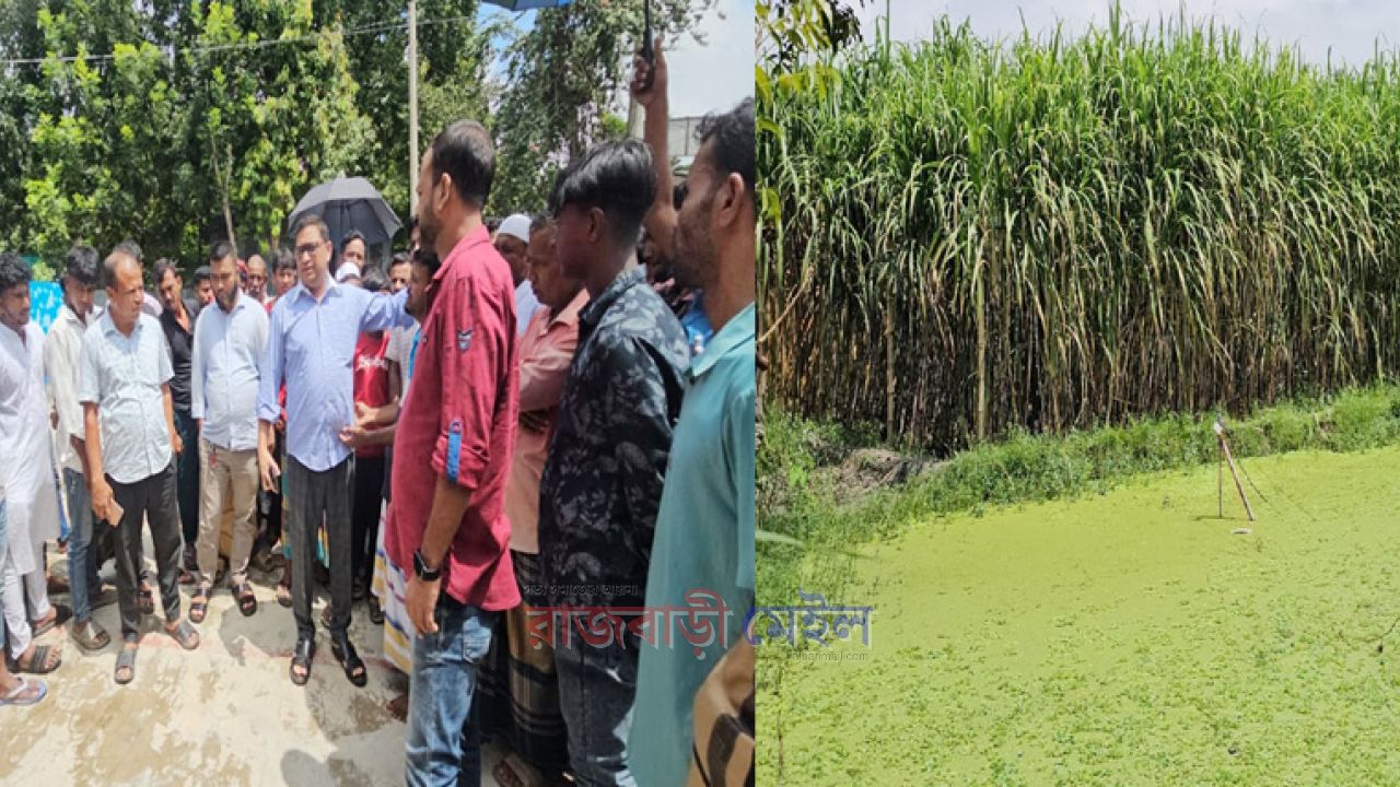 রাজবাড়ী আখক্ষেতে পেতে রাখা বিদ্যুতের তারে জড়িয়ে নারীর মৃত্যু, পুতে ফেলতে ব্যার্থ হওয়ার পর ৪ লাখ টাকায় আপসের চেষ্টা